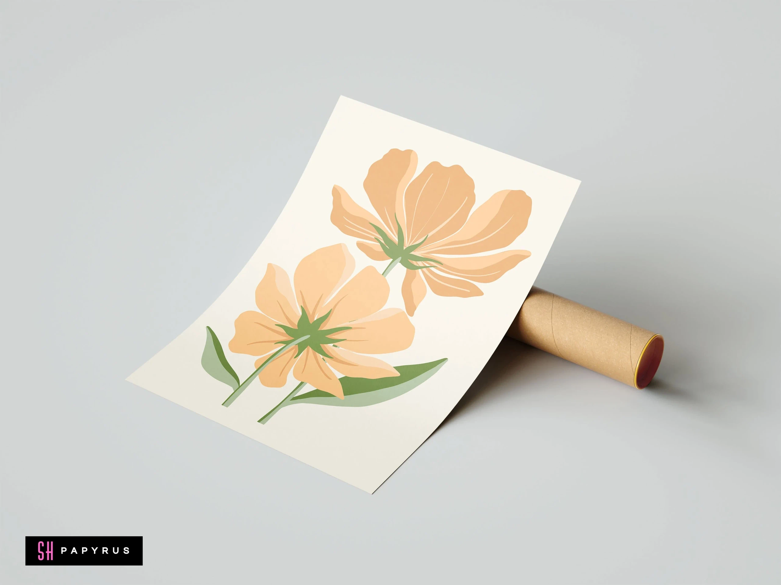 Delicate Soft Peach Cosmos Flower Illustration Art