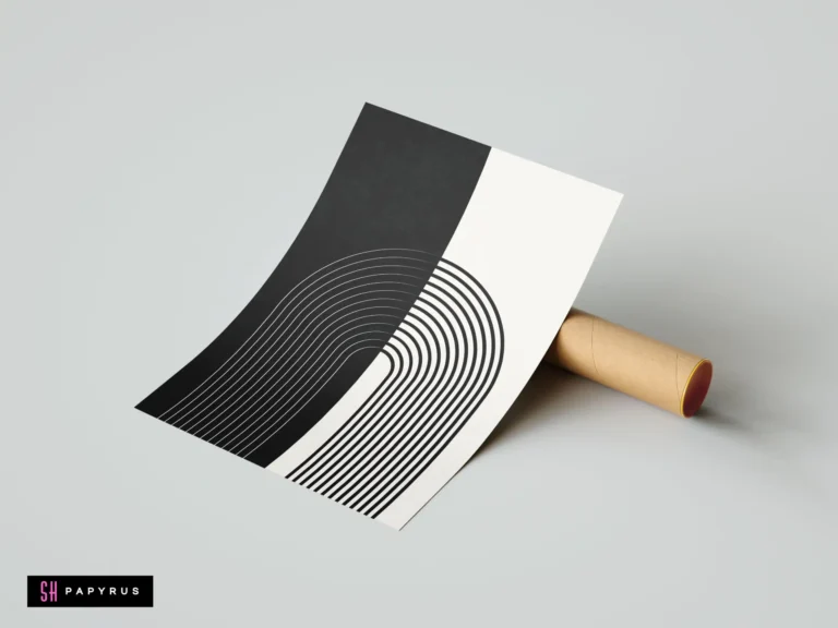 Modern monochrome rainbow line art wall decor print with minimalist black and white split design, displayed leaning against a cardboard shipping tube.