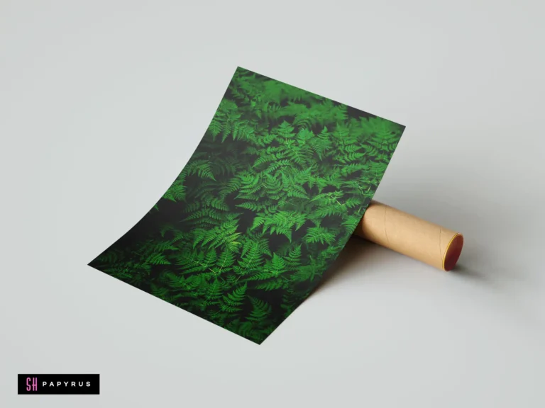Lush botanical print featuring detailed close-up of vibrant green ferns on a dark background.