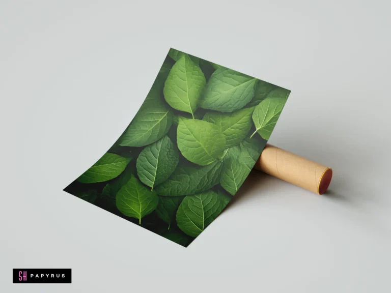 Close-up nature print featuring vibrant green hydrangea leaves with detailed, overlapping textures.