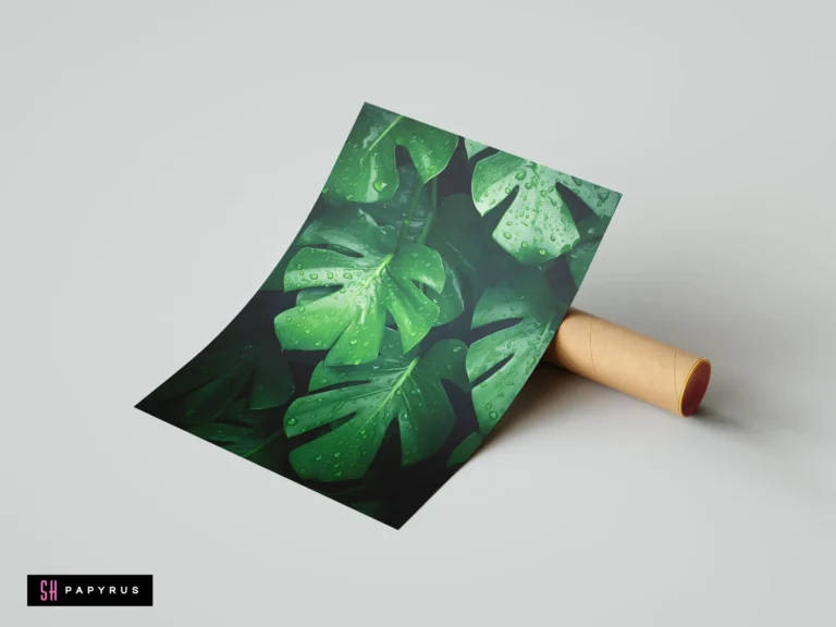 Vibrant green Monstera Deliciosa leaves with water droplets in a close-up botanical photography print.
