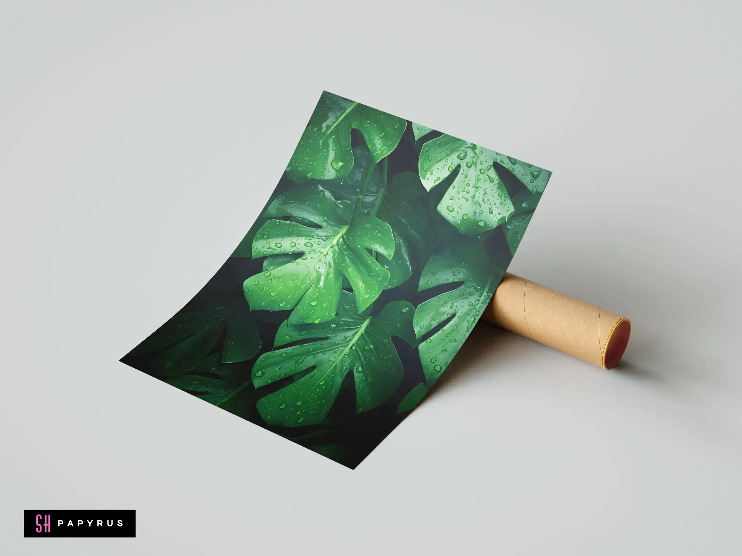 Vibrant green Monstera Deliciosa leaves with water droplets in a close-up botanical photography print.