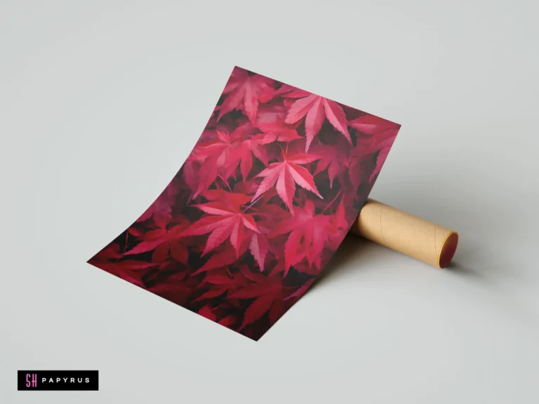 Vibrant red Japanese maple leaves botanical print with deep crimson tones and rich textures.