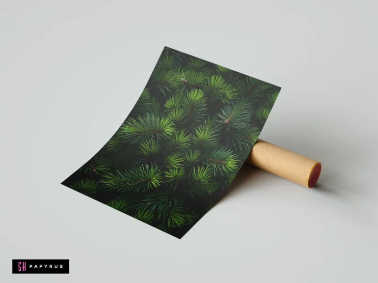 Detailed botanical print featuring a close-up of vibrant green pine needles on a dark background.
