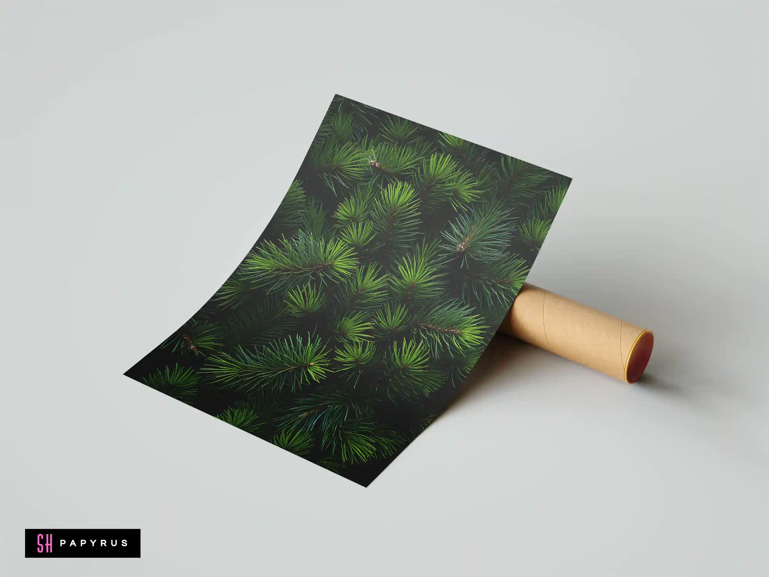 Detailed botanical print featuring a close-up of vibrant green pine needles on a dark background.