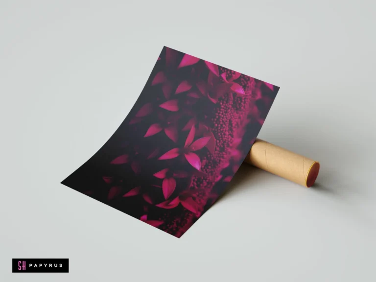 Vibrant magenta leaves and berries in a close-up botanical macro photography art print.