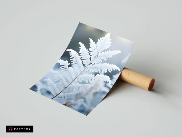 Winter nature art print featuring a white frosted fern leaf against a soft blue background.