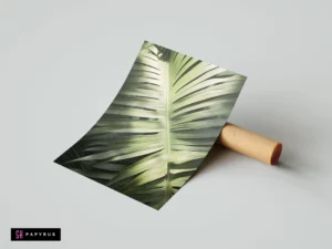 Minimalist botanical art print featuring a close-up sage green palm leaf with soft shadows.
