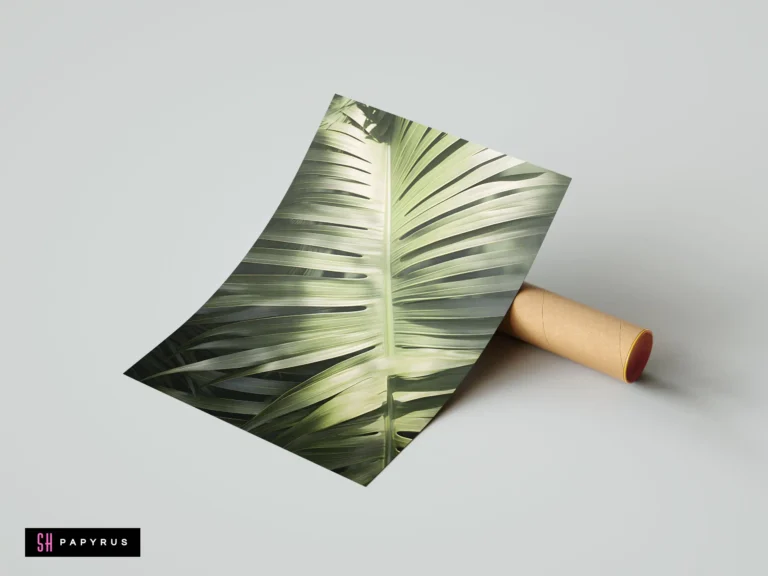 Minimalist botanical art print featuring a close-up sage green palm leaf with soft shadows.