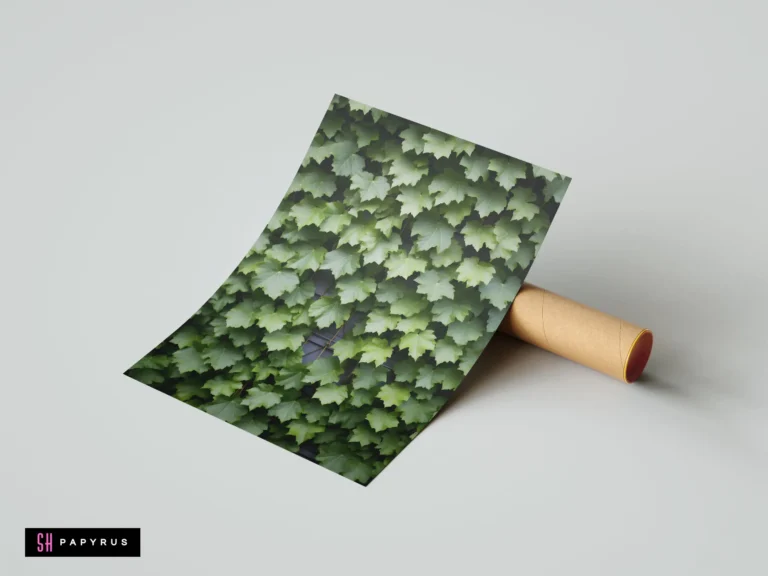 Botanical art print featuring a dense wall of lush green ivy leaves in natural light.