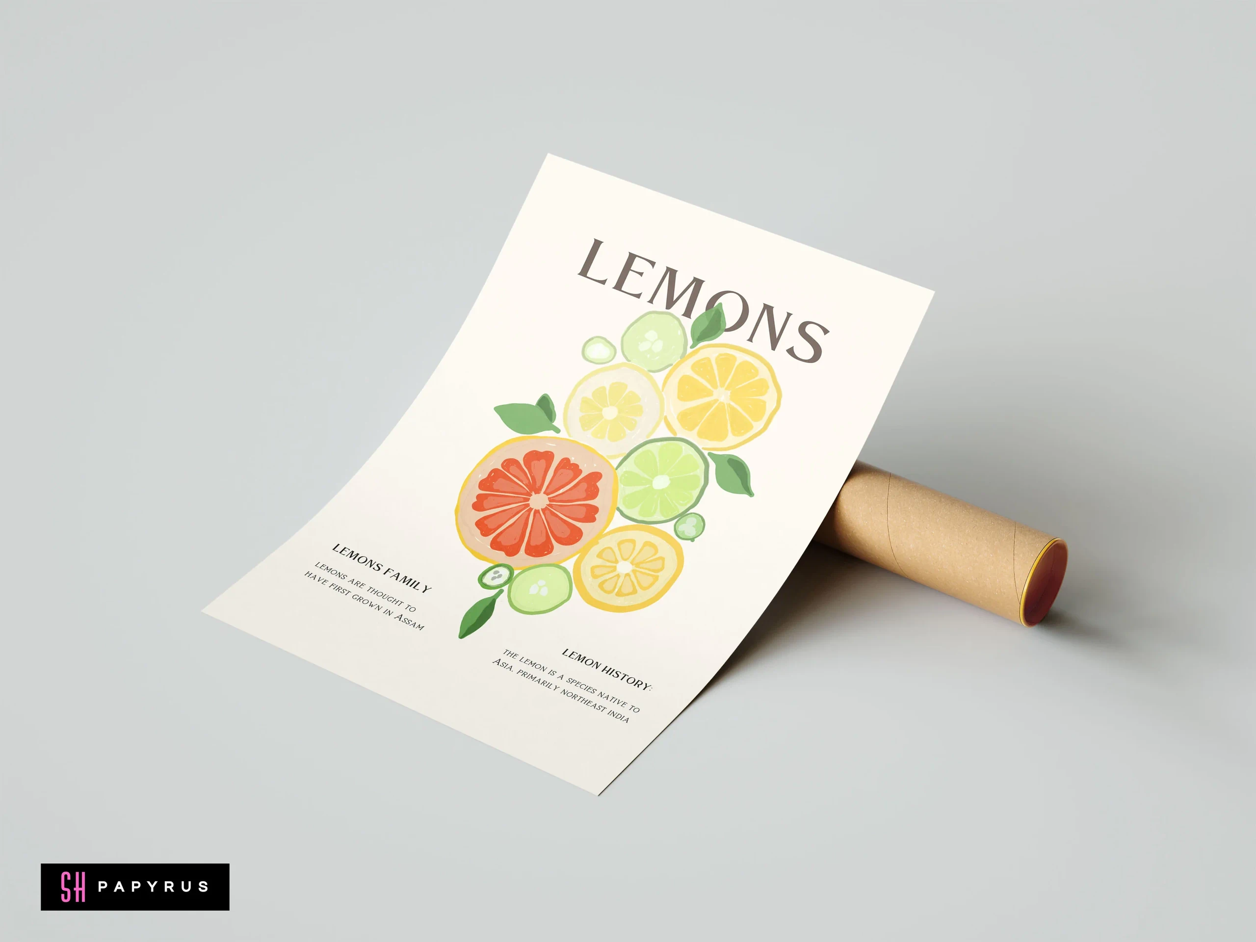 Minimalist citrus botanical poster with yellow, green, and orange fruit slices on off-white paper.