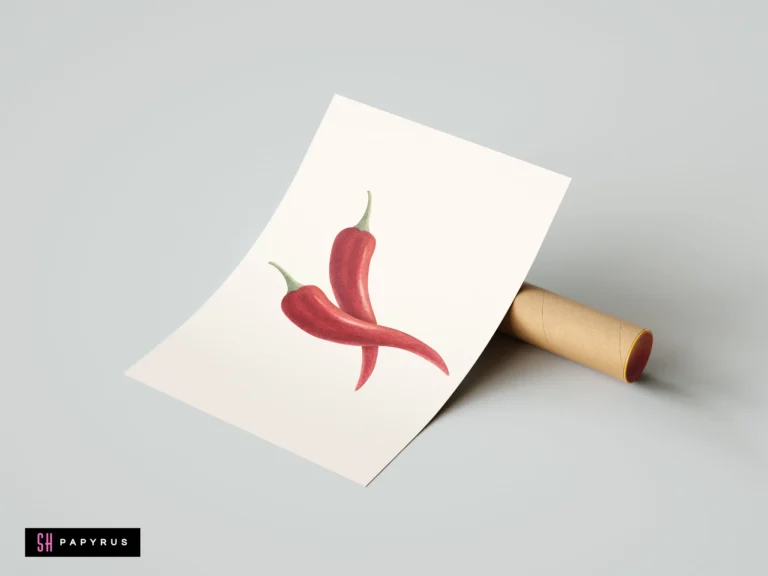 Minimalist botanical art print featuring two red chili peppers on a white background.