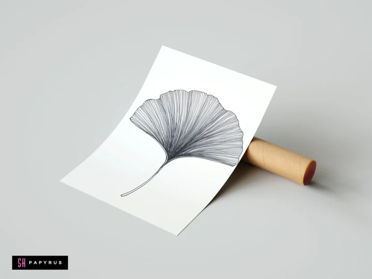 Minimalist ginkgo leaf fan line art in black ink on a white paper print.