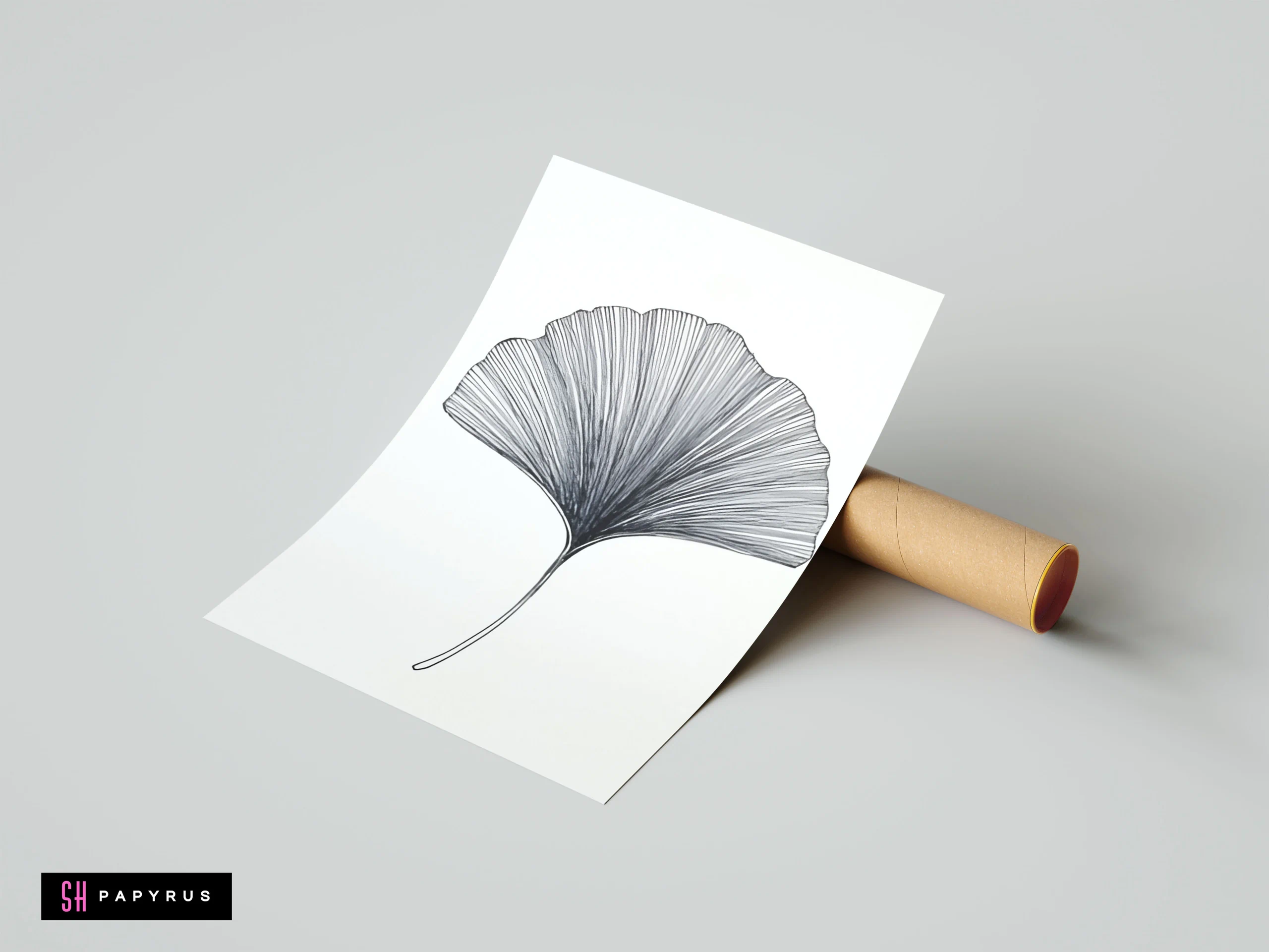Minimalist ginkgo leaf fan line art in black ink on a white paper print.
