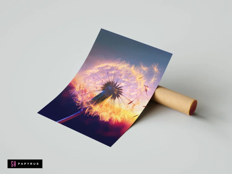 Golden sunset dandelion seed nature photography art print with glowing orange and dark blue tones.
