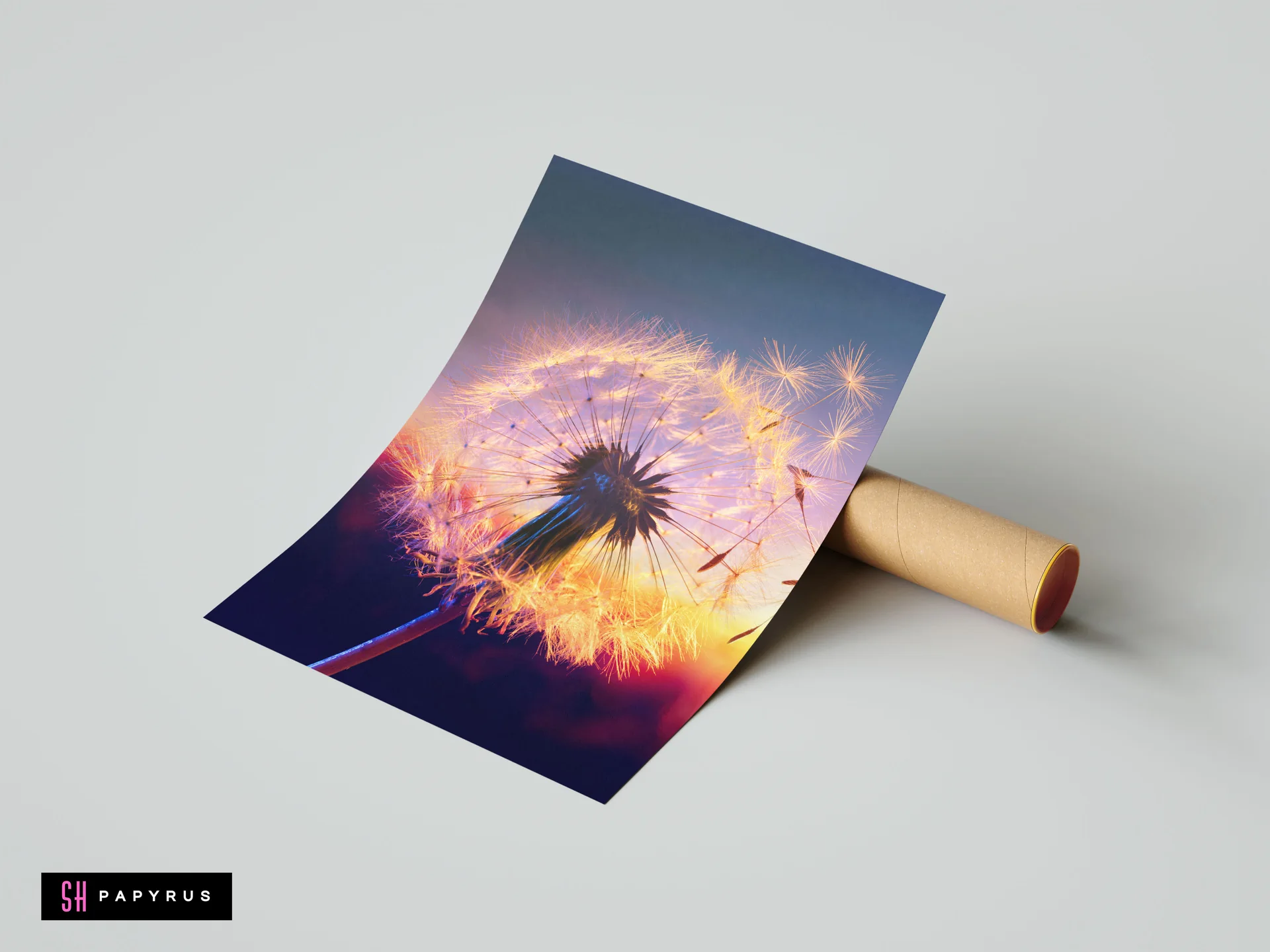Golden sunset dandelion seed nature photography art print with glowing orange and dark blue tones.